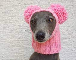 Pom Pom Dog Hat Greyhound Hat Italian Greyhound Hat Etsy In 2021 Dog Snood Snood Dog Pom Dog
