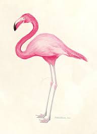 pink flamingo illustration flamingo illustration flamingo art flamingo painting