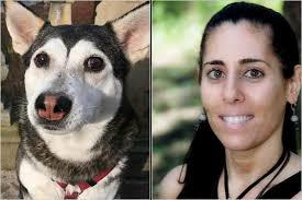 Dogs and Owners: A Family Resemblance
