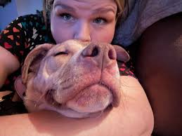 One-year-old dog update after back leg surgery