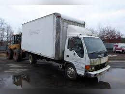 Image result for Medium Walnut 1999 Truck