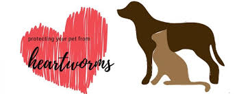 Our veterinary clinic at banfield pet hospital provides the best vet care for your cat, dog or other pet. Protecting Your Pet From Heartworms Rau Animal Hospital