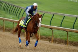 Preakness Stakes 2019 Expert Picks Paths To Victory For