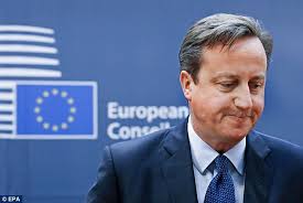 The EU thinks David Cameron is steely or is that just his grey hair? ANNE  MCELVOY writes