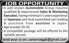 Sales executive helps her/his company maximize sales. Sales Executive Marketing Executive Jobs In Automobile Industry