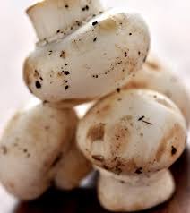 Versatile uses in the garden on the land for soil building, nutrient availability, and water. 21 Best Benefits Of Mushrooms For Skin Hair And Health
