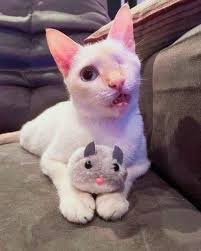 Today la my Queen 👑 day oooh