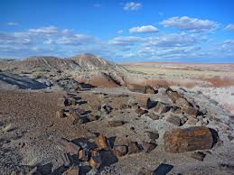 The perfect recipe for a family game night! Petrified Forest National Park Holbrook Arizona