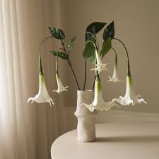 Image result for Datura