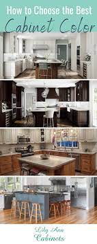 Style Guide What Color Should I Get My Kitchen Cabinets In Lily Ann Cabinets Kitchen Design Centre Kitchen And Bath Design