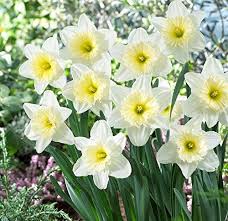 Her name is exactly the same as a roman word for a particular kind of love. 20 Ancient Greek Myths About 20 Ancient Greek Flowers Greeker Than The Greeks