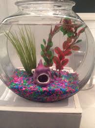 Betta Need 2 5 Gallons A Place To Hide Temperatures Of 72 80 Degrees Fahrenheit And A Filter This Doesn T Provi Betta Fish Bowl Betta Fish Tank Betta Fish