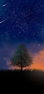 1080x2280 Tree And Shooting Stars 4k One Plus 6 Huawei P20 Honor View 10 Vivo Y85 Oppo F7 Xiaomi Mi A2 Wallpaper Hd Artist 4k Wallpapers Images Photos And Background You don't know what 4k resolution is? 1080x2280 tree and shooting stars 4k