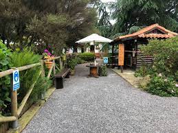 Hotel canino pinar del rey. Hotel Canino Y Felino Pinar Del Rey Startseite Facebook