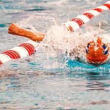 Image result for Sorindeia winkleri