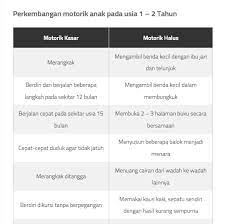 Seorang anak memiliki suatu ciri yang istimewa yaitu tumbuh dan berkembang dari lahir hingga beranjak dewasa. Perkembangan Motorik Anak Usia 1 5 Tahun Sayangianak