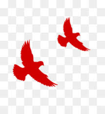 Maybe you would like to learn more about one of these? Red Eagle Png And Red Eagle Transparent Clipart Free Download Cleanpng Kisspng
