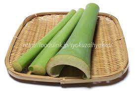 ハスイモ りゅうきゅう はす芋 旬の野菜百科