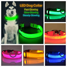 Details About Led Night Pet Dog Night Safety Gear Harness Leash Light Size Chart Xs S M L Xl