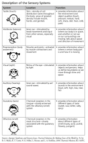 The Sensory Spectrum Sensory Processing Disorder Parent Resources Sensory Processing Sensory Disorder Sensory Integration Disorder