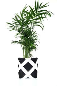 Black And White Flower Pots Fabric Planter Black And White Hand Printed Plant Pot Flower Pot Storage Basket By Voneydesign On Etsy Flower Pots Potted Plants Painted Pots
