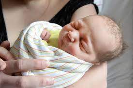 Maybe you would like to learn more about one of these? Balthazar A Ete Le Premier A Pointer Le Bout De Son Nez La Region