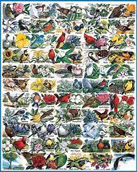 Maine designated the white pine. Amazon Com White Mountain Puzzles State Birds And Flowers 1000 Piece Jigsaw Puzzle Toys Games