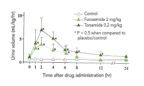 Follow your doctor's instructions about using potassium supplements. Beyond Furosemide The Role Of Diuretics In Congestive Heart Failure Part 1 Torsemide Today S Veterinary Practice