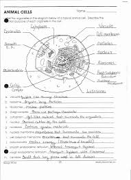Animal Cell Worksheet Answers Inspirational Worksheet Cell Organelles Worksheet Answers Grass Fedj In 2020 Cells Worksheet Plant Cells Worksheet Animal Cells Worksheet