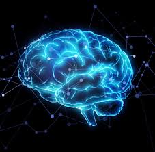 Wir stellen 7 natürliche antidepressiva vor, mit denen du deine stimmung aufhellen kannst, ohne zu chemischen mitteln zu greifen. Depressionen Die Zweifelhafte Karriere Eines Gluckshormons Welt
