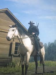 How to get arabian white coat horse (rdr2 best horse). Buttermilk Buckskin Kentucky Saddler Is One Of The New Added Horses I Actually Really Like The Look Of It Rdr2