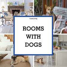 Update flooring, doors, switchplates and decorative hardware. 45 Rooms With Dogs Ideas Home House House Design
