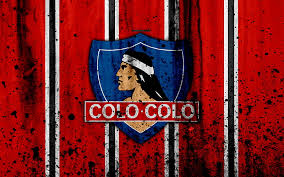 Estudos genéticos demonstraram que os felídeos do novo mundo divergiram há mais de 5 milhões de anos dos felídeos do velho mundo em duas linhagens separadas: Fc Colo Colo Art Grunge Chilean Primera Division Soccer Football Club Chile Hd Wallpaper Peakpx