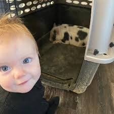 From Sterling: We finally finished our chicken coop! Does anyone remember  the silo (it's really called a grain bin) that Grace and I bought 3 years  ago? It's finally fulfilling its destiny!