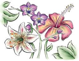 Contemporary fine artist based in the boston area. Watercolor Flowers
