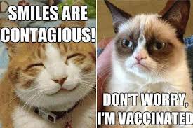 Best of dog and baby videos compilation. 9 Best Grumpy Cat Memes