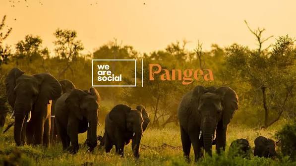 Pangea Trust Launches Rebrand with Support from We Are Social | LBBOnline