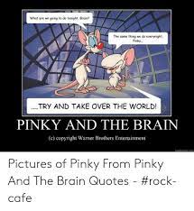 I think so brain, but zero mostel times anything will still give you zero mostel. Pinky And The Brain Quotes Pinky And The Brain Quote Quote Number 551224 Picture Quotes Dogtrainingobedienceschool Com