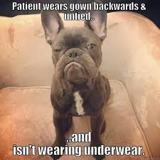 31 Things To Warm Your Heart On This Cold Day Radiology Humor Xray Humor Work Humor