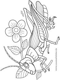 Maybe you would like to learn more about one of these? Ausmalbilder Insekten Gratis Di 2021