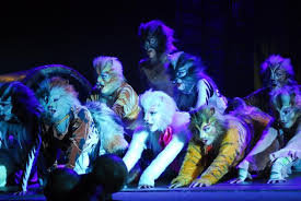Here are the jellicle cats, mentioned in alphabetical order do your cat loving friends also love music and/or musical theater? Rosco Color Resource Gallery Cats Musical Jellicle Cats Gallery