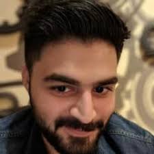 React JS WordPress Developers