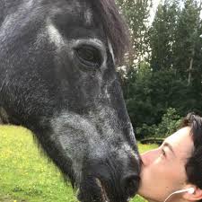 Good idea to break an older horse (12) or just leave him be?