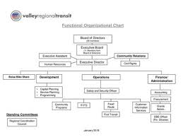Senior Management Organizational Chart Chief Executive