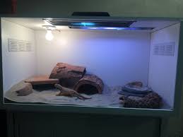 Diy Bearded Dragon Enclosure 4x2x2 72 Melamine Board 30 Home Depot Glass Front Bearded Dragon Enclosure Diy Bearded Dragon Enclosure Bearded Dragon Diy