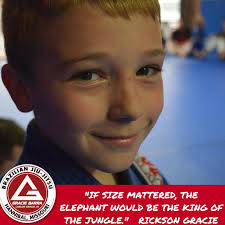 Jiu Jitsu classes coming to Beechmont Ave