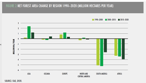 We did not find results for: What We Got Right On Deforestation In The Past Decade Ecosystem Marketplace