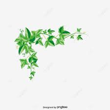 Also, find more png clipart about illustrator clip art,leaf clip art,clipart backgrounds. Gambar Menjalar Anggur Clipart Anggur Penjalar Pokok Anggur Png Dan Psd Untuk Muat Turun Percuma Vines Creepers Ivy Vine