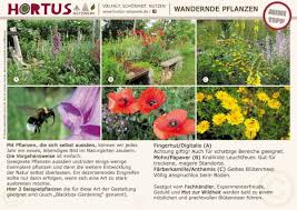 Wandernde Pflanzen