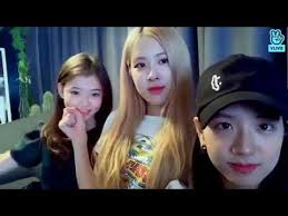 Ella gross is a gorgeous young model who . Jisoo Y Rose Blackpink With Ella Gross Youtube